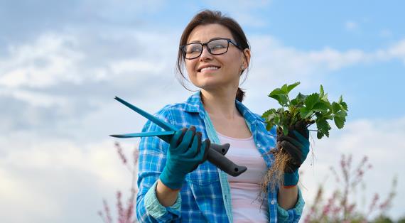 Какой вы дачник? Профи, средний уровень или лох серебристый