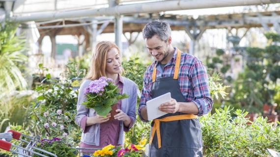 В каких регионах разрешили продавать саженцы и посадочный материал: обновляем каждый день