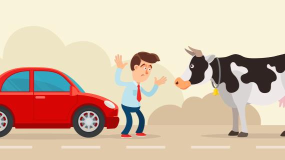 Коронавирус в садовой нише: что считать форс-мажором и куда звонить