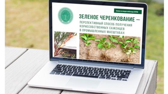 Вебинар на удаленке: черенкуем с Ириной Окуневой