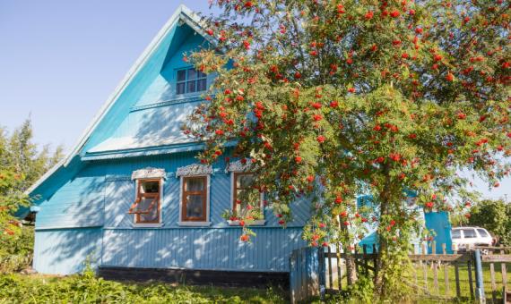Где в Подмосковье самые недорогие дачи: районы и цены