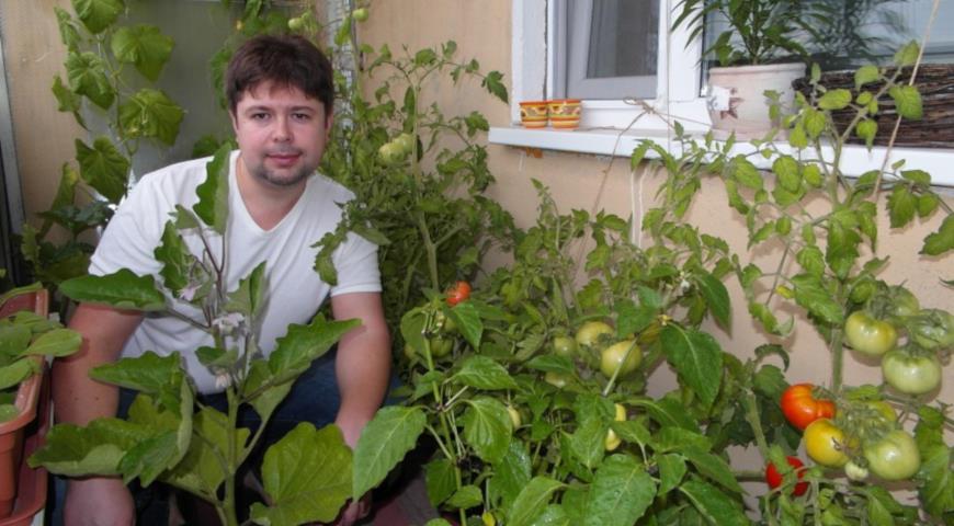Михаил Кармишин, огород на балконе