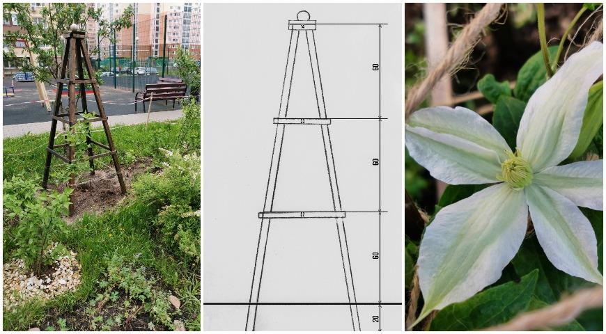 опора для клематиса, садовый обелиск, опора, клематис
