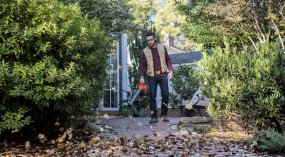 Проблемы при выращивании газона: как их избежать