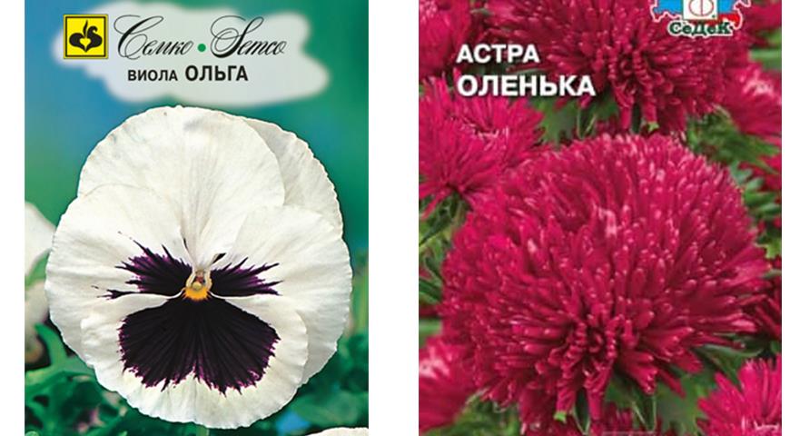 Именной сад: сорта цветочных и садовых культур с именем Ольга