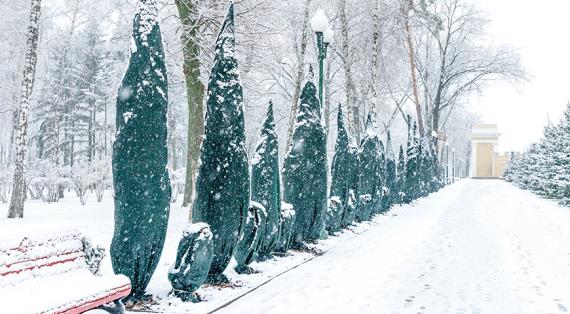 Экологические аспекты использования синтетических укрывных материалов, мнение эксперта