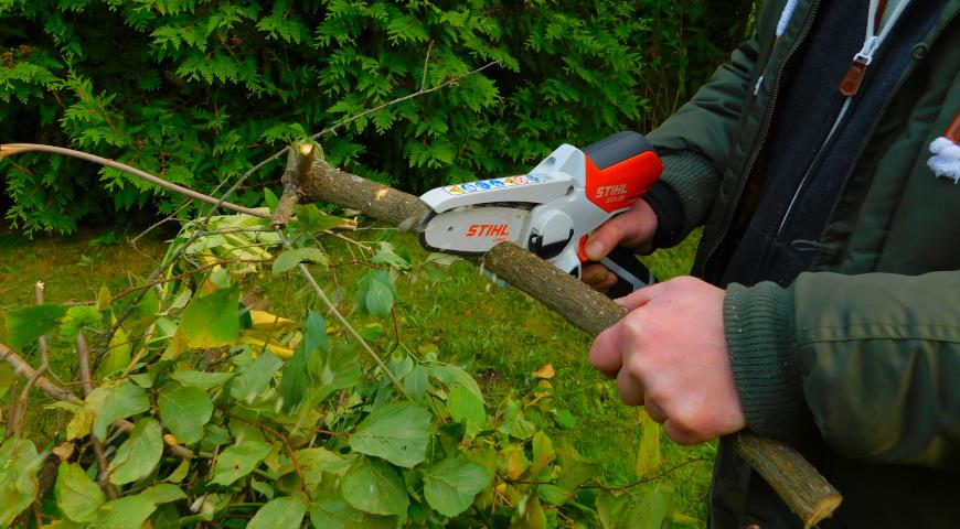 сучкорез Stihl GTA 26