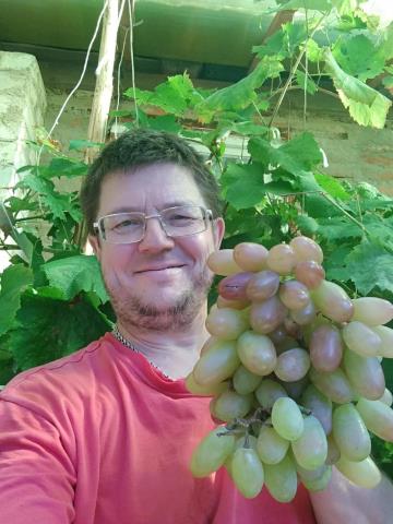 Андрей Маткин и виноград Преображение