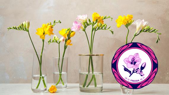 Цветочный гороскоп на 24 октября - 2 ноября: ваш цветок - фрезия