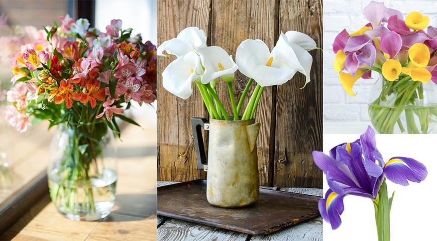 Список самых устойчивых цветов для букета: кто дольше всех продержится в вазе?