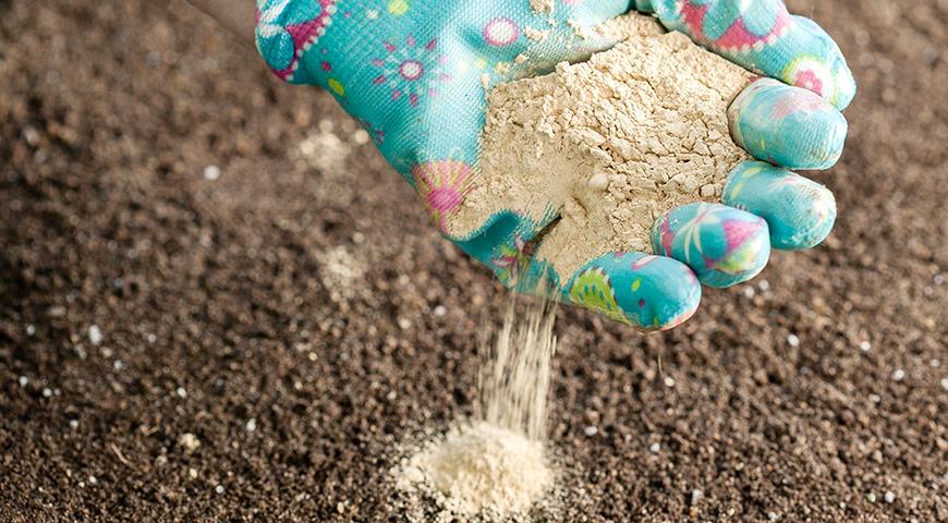 Раскисление почвы с помощью доломитовой муки: где не обойтись без доломитки?