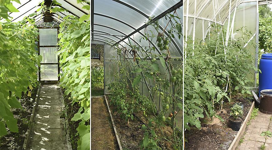 Raised bed greenhouse 2 and 2.5 meters wide