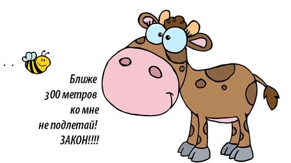 Стоп, пчелы! Ближе, чем на 300 метров, к домашним животным подлетать нельзя!