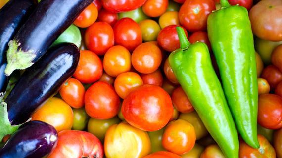 Семена томатов, перцев и баклажанов: краткая подсказка по выбору сортов овощей для посева на рассаду