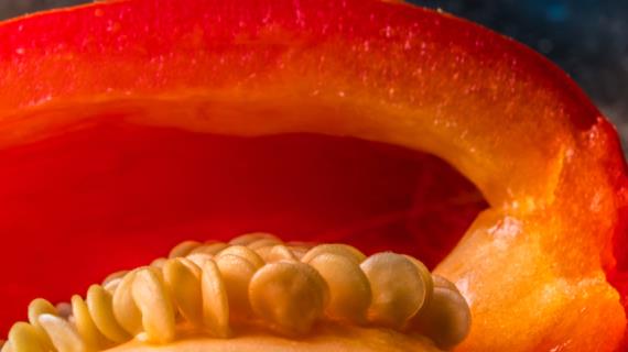 3 простых способа повысить всхожесть семян перца