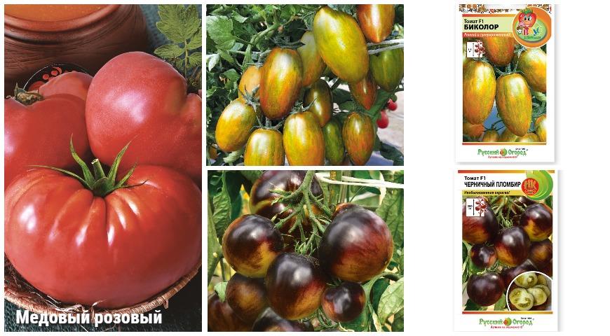Крупноплодные томаты - лучшие сладкие сорта