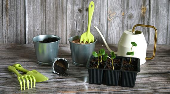 Когда сеять рассаду цветов и овощей в 2026 году: лунный календарь посевов