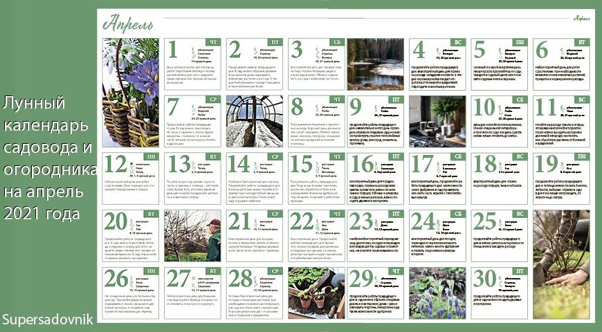 Лунный посевной календарь садовода, цветовода и огородника на апрель 2021 года