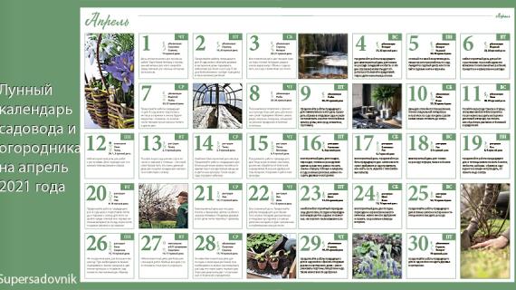 Лунный посевной календарь садовода, цветовода и огородника на апрель 2021 года