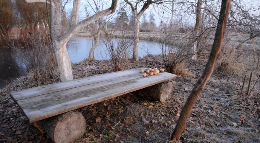 Как сажать яблони если близко грунтовые воды?