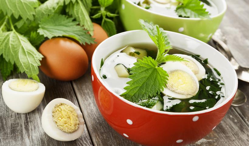 Лучшие рецепты из нежной весенней крапивы: суп из крапивы и другие деликатесы
