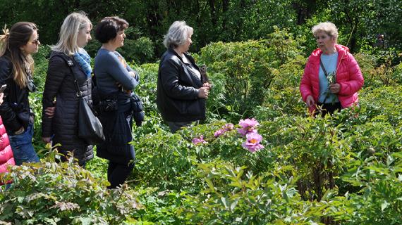 28 мая - день любования пионами с Ольгой Никитиной и Марианной Успенской