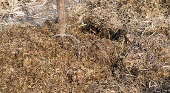 Способы восстановления плодородия почв