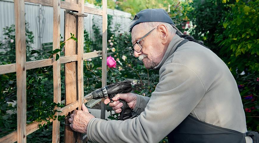 Что вы сажаете на огороде