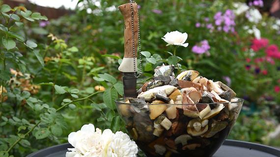 Грибной сезон стартовал: самые вкусные лесные грибы и рецепты с ними