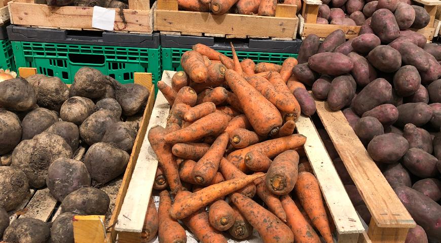 Как сохранить картофель, морковь и свеклу до весны: 5 вариантов храненияурожая корнеплодов