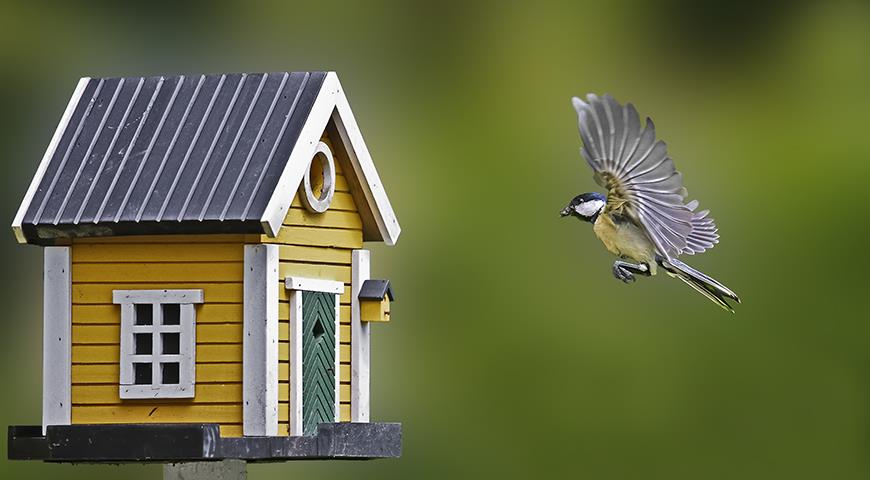 домики для птиц