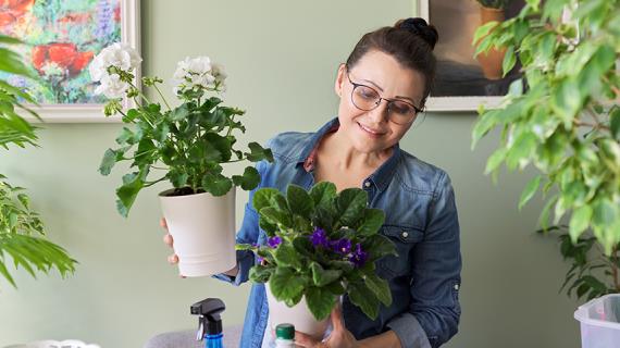 Неприхотливые домашние растения, которые часто цветут