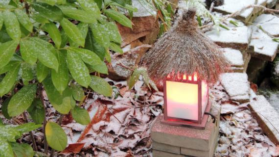 Февральские вебинары в школе РФК