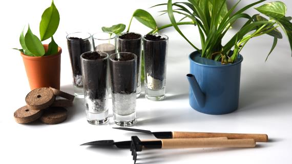 Плодородный грунт для рассады и комнатных цветов, как сделать самому