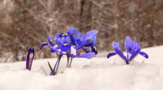 Впереди нас ждет холодная неделька