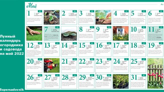 Лунный посевной календарь садовода, цветовода и огородника на май 2022 года