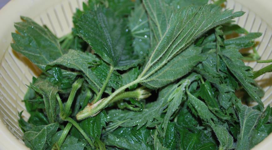 Чуду с крапивой и творогом. Шаг 1 Чуду с крапивой и творогом. Шаг 1