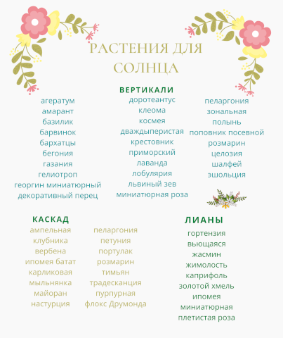 таблица растений для окна