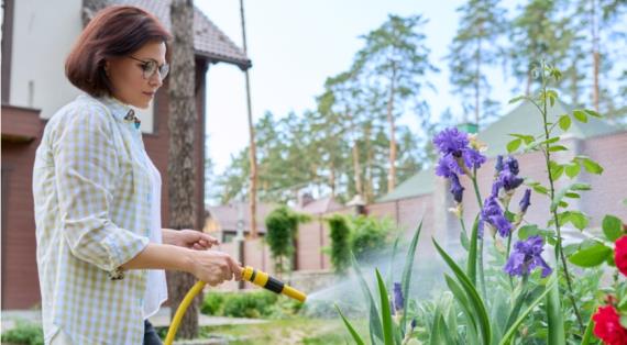 Летние работы на даче