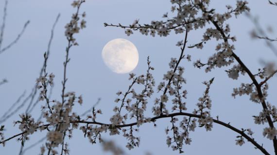 Как на нас повлияет новолуние в Близнецах в мае 2022