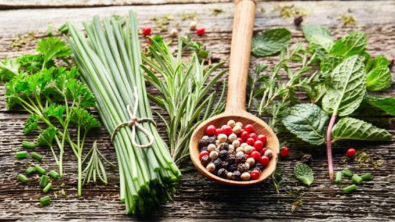 Какие приправы можно самому вырастить на грядке