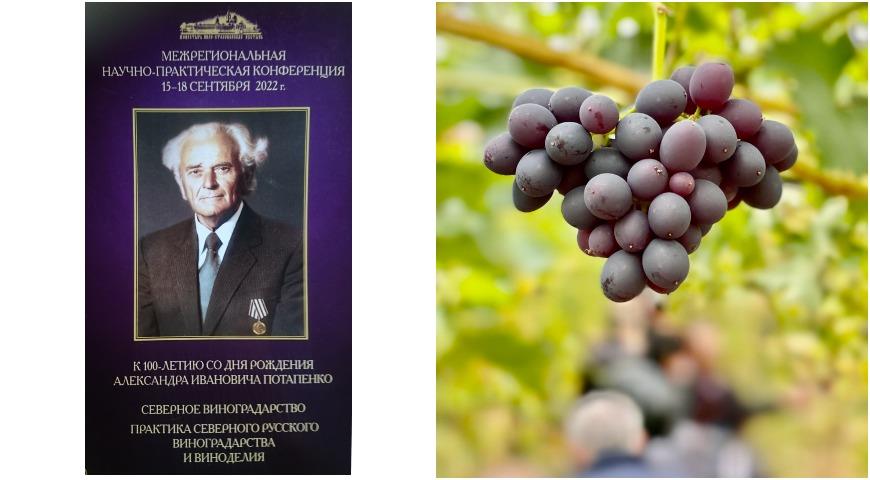 Конференция виноградарей 2022