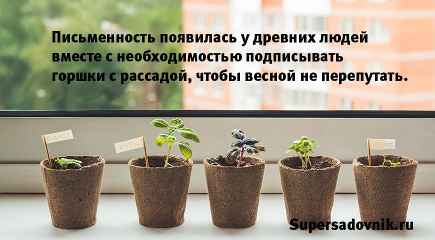 Анекдоты и шутки про дачников и садоводов