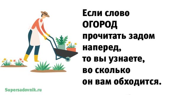 Анекдоты и шутки про дачников и садоводов