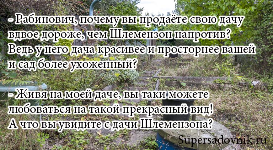 Анекдоты и шутки про дачников и садоводов