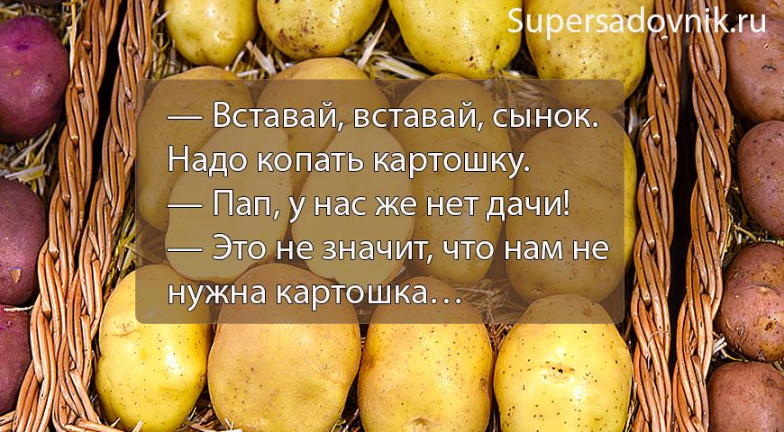 Лучшие анекоды сети про дачников и садовников