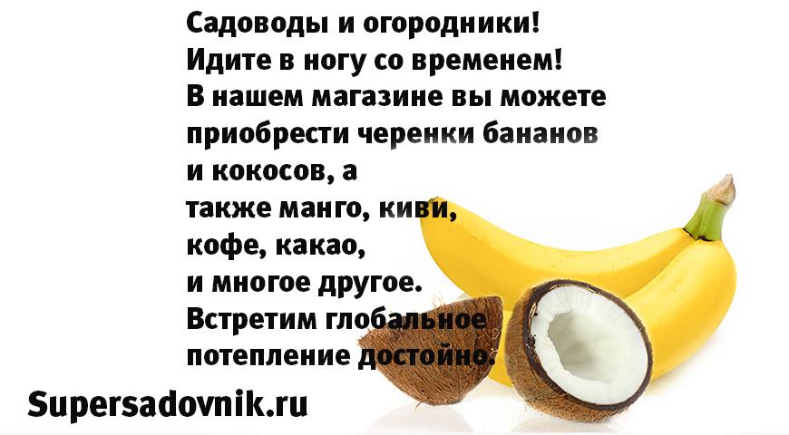 Лучшие анекоды сети про дачников и садовников