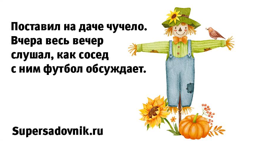 Лучшие анекоды сети про дачников и садовников