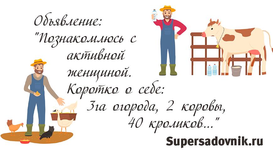 Шутки и анекдоты про дачников и садоводов