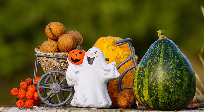 4 обязательных элемента праздника Хэллоуин